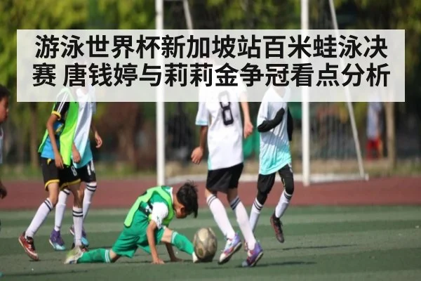 游泳世界杯新加坡站百米蛙泳决赛 唐钱婷与莉莉金争冠看点分析